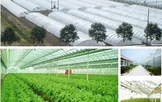 农业最新资讯-快科技--科技改变未来